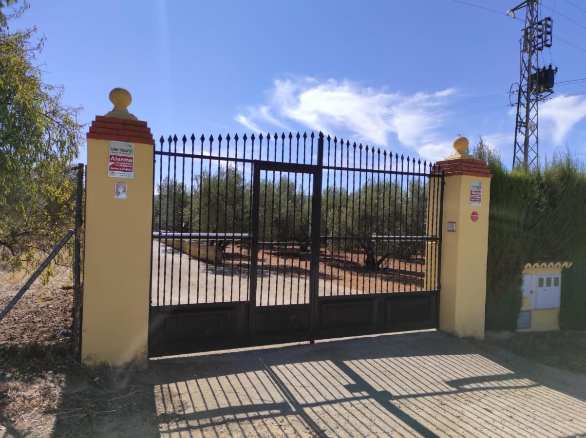Los Abuelos Setenil De Las Bodegas Ngoại thất bức ảnh