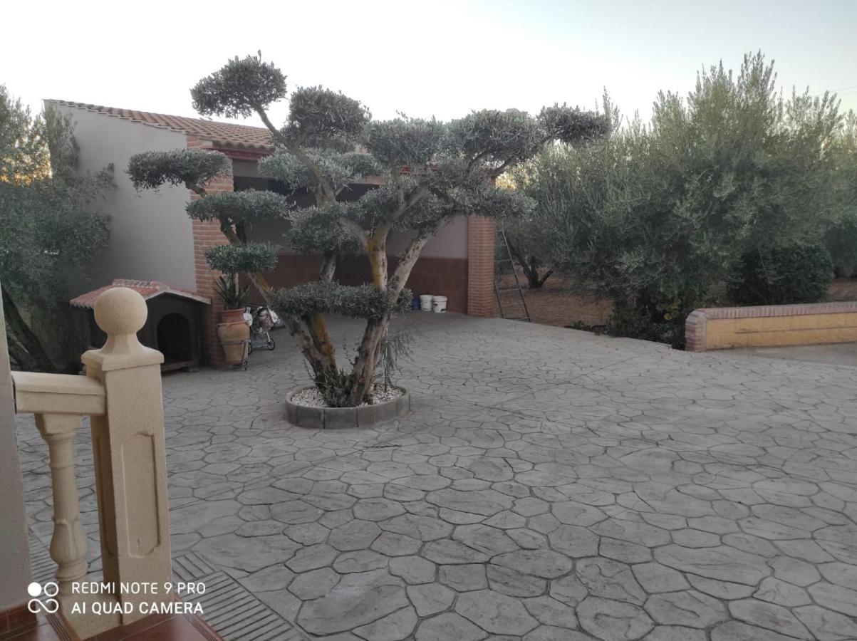 Los Abuelos Setenil De Las Bodegas Ngoại thất bức ảnh