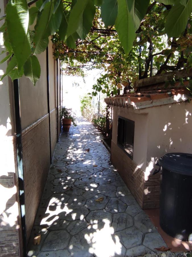 Los Abuelos Setenil De Las Bodegas Ngoại thất bức ảnh