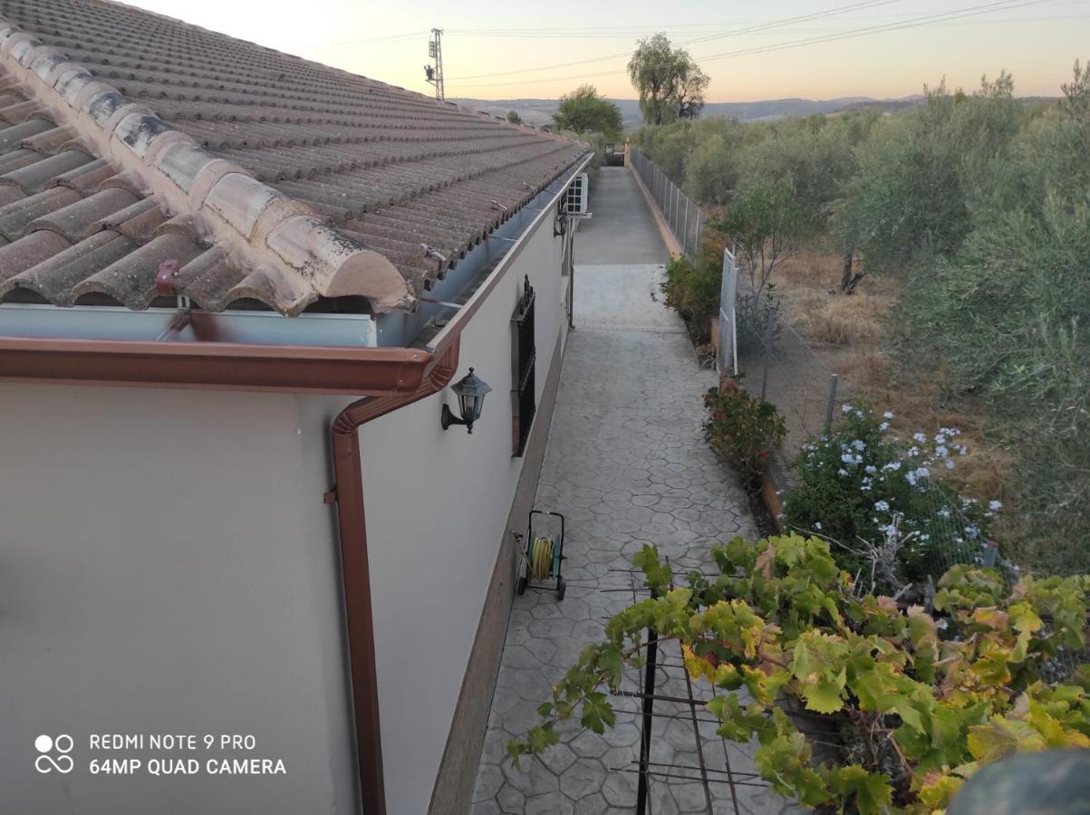 Los Abuelos Setenil De Las Bodegas Ngoại thất bức ảnh