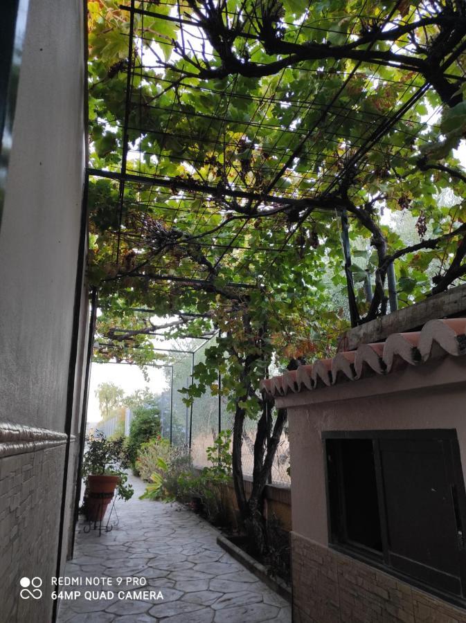 Los Abuelos Setenil De Las Bodegas Ngoại thất bức ảnh