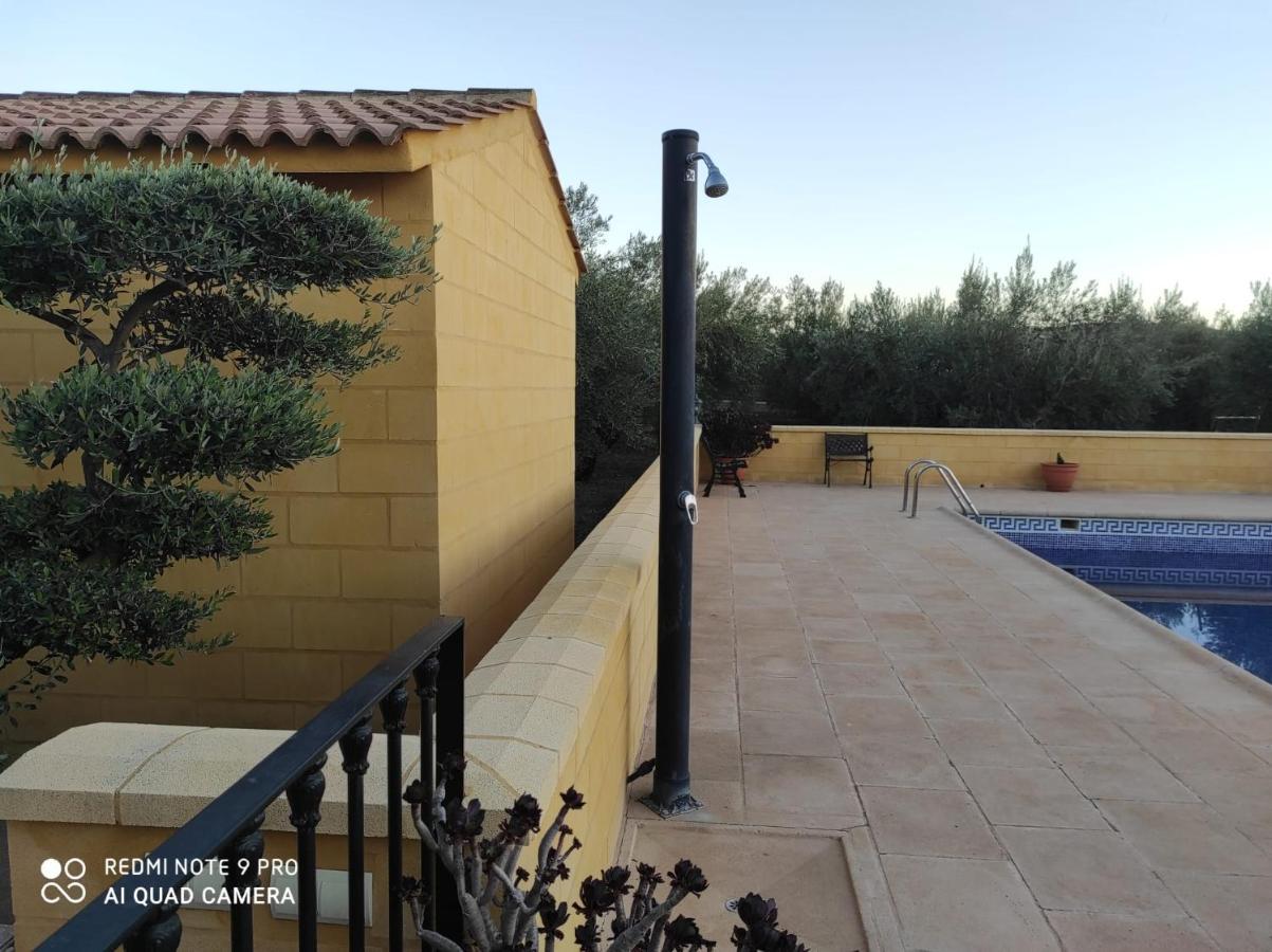 Los Abuelos Setenil De Las Bodegas Ngoại thất bức ảnh