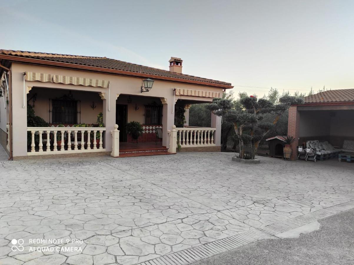 Los Abuelos Setenil De Las Bodegas Ngoại thất bức ảnh